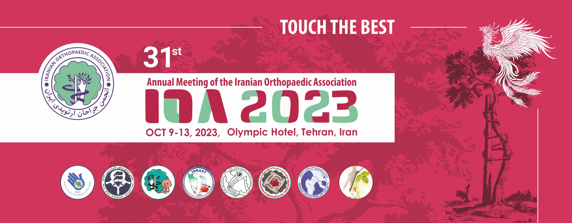 31st Annual Meeting Of The Iranian Orthopaedic Association
